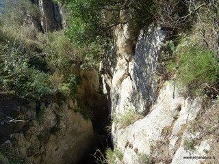 stoleone-09-08-2020 10